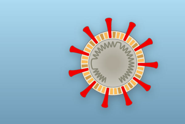 Estudian la respuestas inmunitaria para prever la evolución del coronavirus en cada paciente Estudian la respuestas inmunitaria para prever la evolución del coronavirus en cada paciente