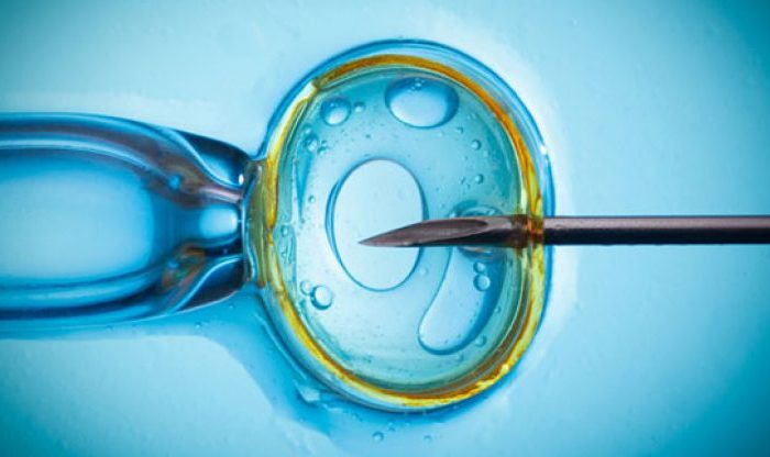 “Si un paciente de 40 años pospone un tratamiento de fertilidad por la pandemia corre riesgos de perder su función reproductiva”