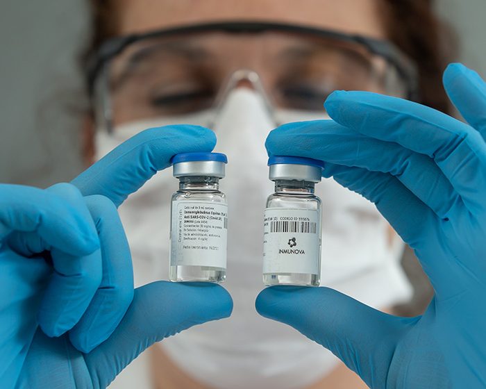 Investigadores del CONICET avanzan en el desarrollo de un suero terapéutico anti-COVID-19 Investigadores del CONICET avanzan en el desarrollo de un suero terapéutico anti-COVID-19