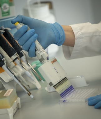 “Con el suero Argentina tendría su primera estrategia propia contra el coronavirus”
