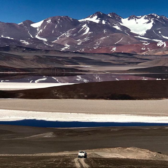 “En los salares y volcanes de la puna, la vida prospera pese a las ‘condiciones extraterrestres’ que presenta el entorno” “En los salares y volcanes de la puna, la vida prospera pese a las ‘condiciones extraterrestres’ que presenta el entorno”