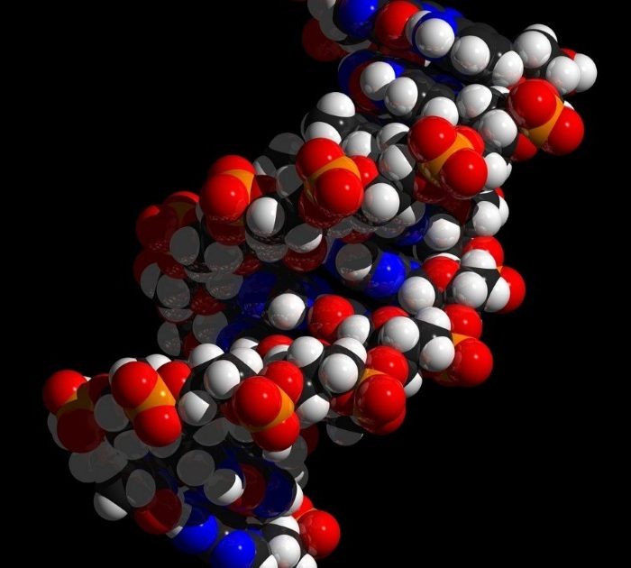 Identifican una molécula de ARN que ayuda a las células de cáncer de pulmón a esquivar el sistema inmunológico Identifican una molécula de ARN que ayuda a las células de cáncer de pulmón a esquivar el sistema inmunológico