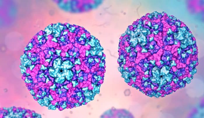Fabrican células para curar la diabetes 1 que evitan el uso de inmunosupresores Fabrican células para curar la diabetes 1 que evitan el uso de inmunosupresores