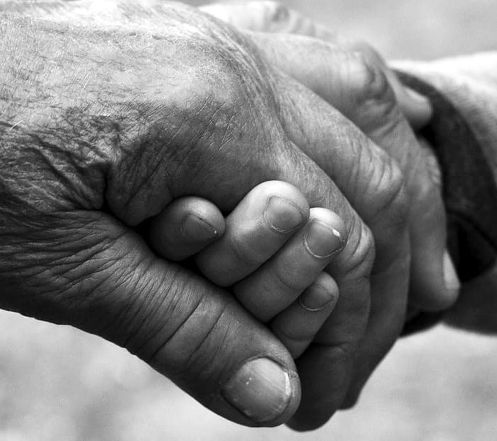 Células madre resisten el envejecimiento y mantienen la regeneración muscular hasta la vejez Células madre resisten el envejecimiento y mantienen la regeneración muscular hasta la vejez