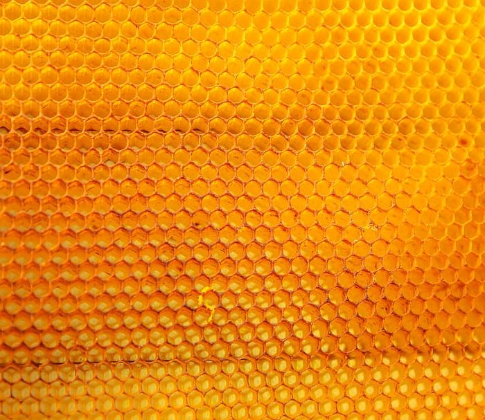 ANMAT prohibió la comercialización de dos tipos de miel de abejas