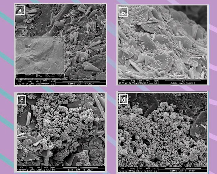 Ensayan la eficacia de administrar medicamentos en vehículos nanométricos para tratar osteoporosis y osteoartritis
