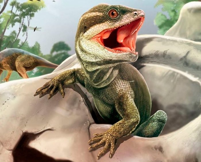 Hallaron al “padre de los lagartos”, un eslabón del árbol evolutivo mundial que faltaba