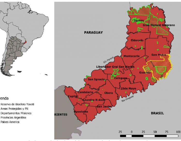Incendios en la selva nativa misionera, una historia sin fin