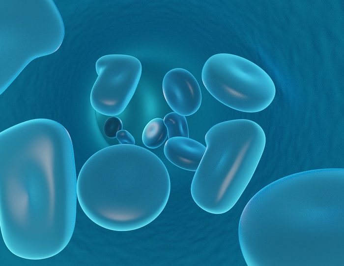 Una terapia celular prolonga la supervivencia en el mieloma más resistente Una terapia celular prolonga la supervivencia en el mieloma más resistente