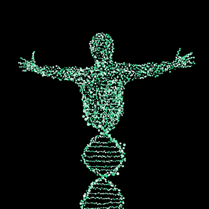 Los condensados de proteínas causan muchos tipos de enfermedades genéticas Los condensados de proteínas causan muchos tipos de enfermedades genéticas