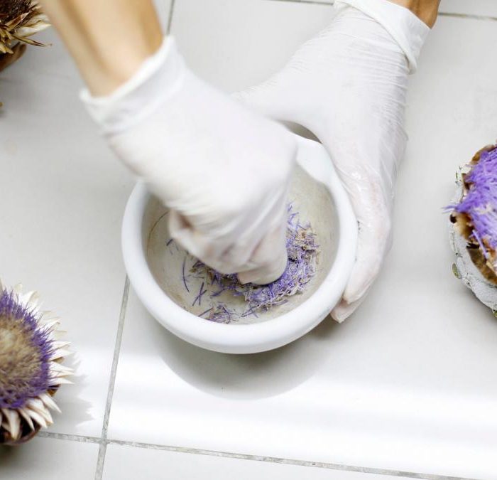 Científicas platenses desarrollan un queso más sustentable empleando la flor del alcaucil