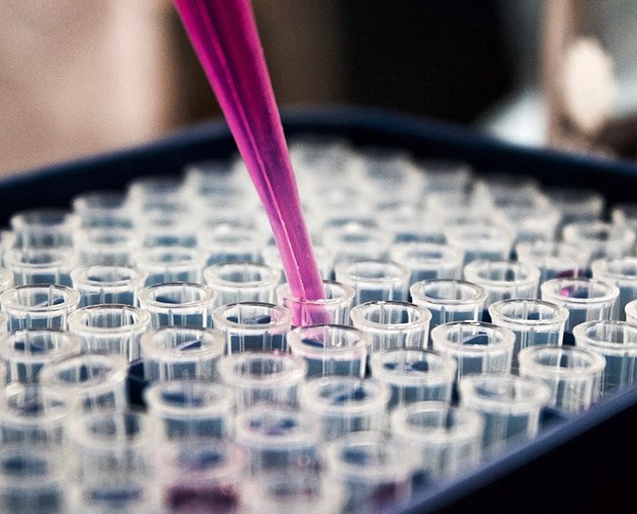 Científicos estudian el sistema nervioso y digestivo para combatir desórdenes alimenticios