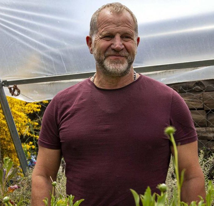 “Las especies de abejas se redujeron entre un 25 y 30 por ciento en 40 años”