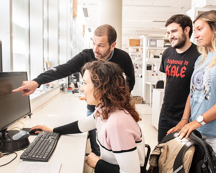 Descubren nuevos genes a partir del estudio de una molécula capaz de regenerar las células que producen la insulina Descubren nuevos genes a partir del estudio de una molécula capaz de regenerar las células que producen la insulina