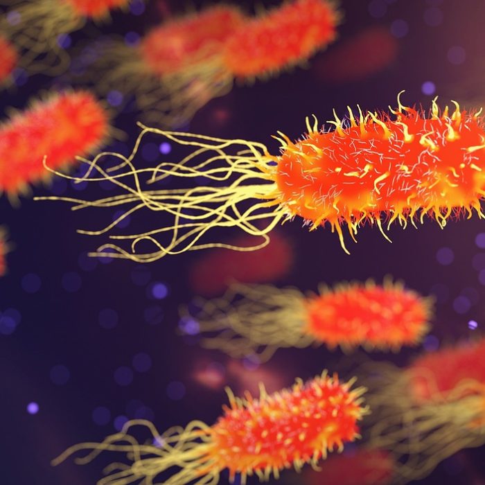 Las “bacterias programables” prometen un tratamiento revolucionario contra el cáncer