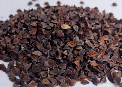 Trigo sarraceno: Un pseudocereal nutritivo en crecimiento