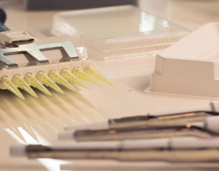 Cómo funciona el innovador test diagnóstico del VPH creado por científicas argentinas