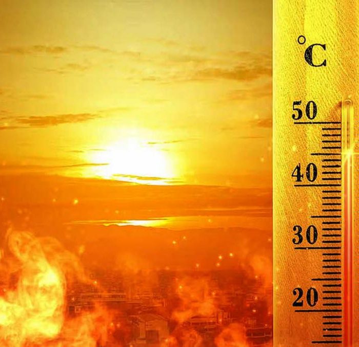 Advierten que el cambio climático reduciría la esperanza de vida en medio año
