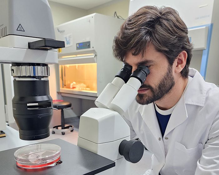 Identifican un nuevo mecanismo de regeneración celular que protege al tejido pulmonar de las infecciones virales agudas