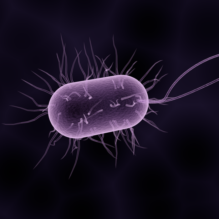 Infecciones intrahospitalarias: un estudio detectó 35 nuevas especies de bacterias Infecciones intrahospitalarias: un estudio detectó 35 nuevas especies de bacterias