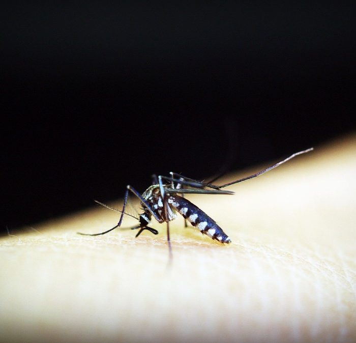 Dengue y Covid-19: estar alerta a síntomas comunes