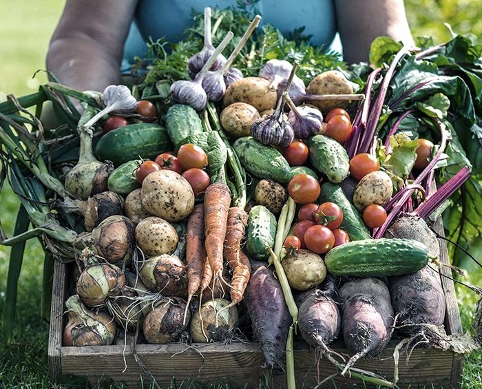 Los precios de los productos agropecuarios subieron 3.8 veces entre el campo y la góndola Los precios de los productos agropecuarios subieron 3.8 veces entre el campo y la góndola