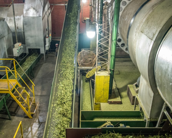 La cantidad de yerba mate para consumo y exportaciones registró un nuevo récord en 2023