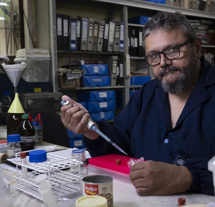 Producción nacional: el método del Malbrán para elaborar sueros antiofídicos Producción nacional: el método del Malbrán para elaborar sueros antiofídicos