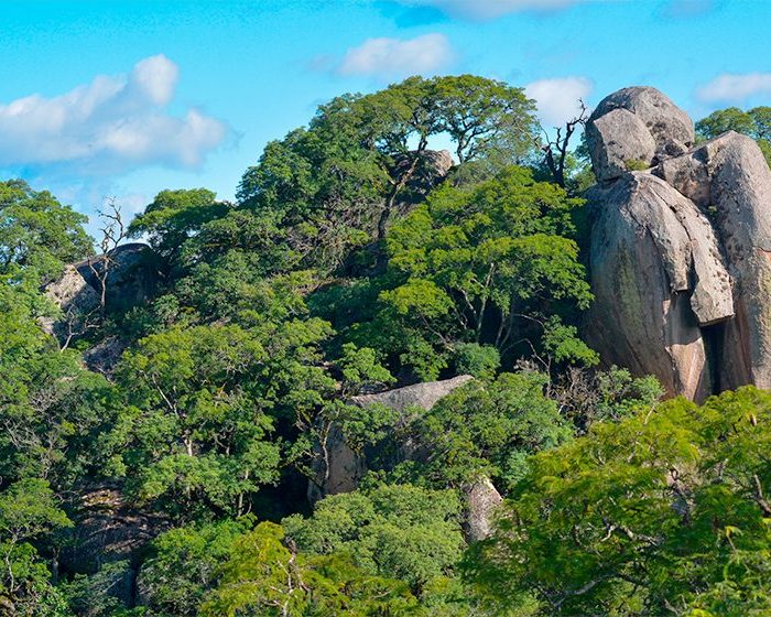 Estudiar huellas del pasado para contribuir a la gestión ambiental Estudiar huellas del pasado para contribuir a la gestión ambiental
