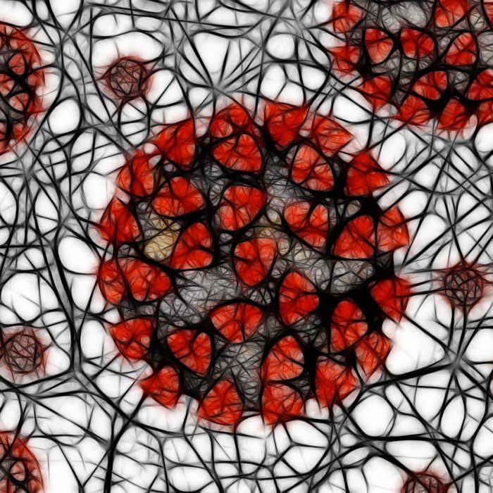 Un nuevo anticuerpo bloquea todas las variantes de SARS-COV-2 en el laboratorio