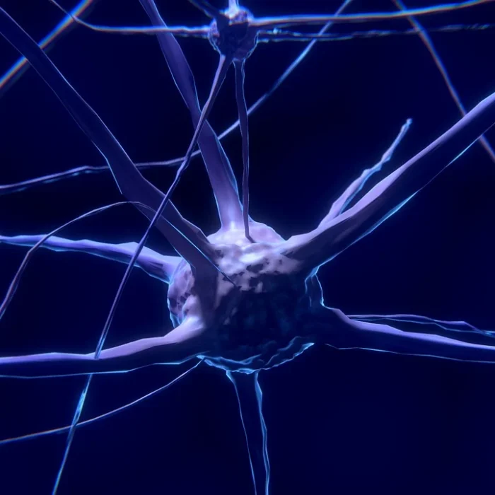 El papel que cumple la inflamación del cerebro en el declive cognitivo El papel que cumple la inflamación del cerebro en el declive cognitivo