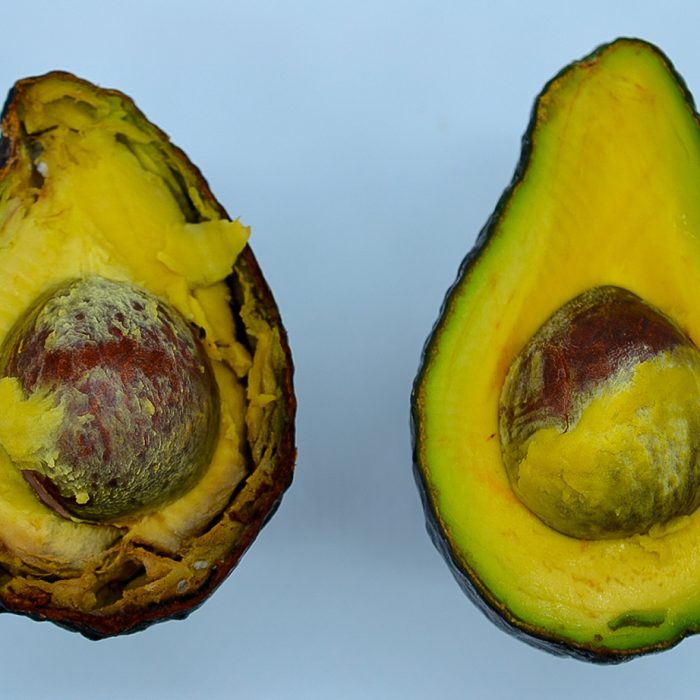 Especialistas desarrollaron un bioproducto que protege frutas y verduras de la amenaza de patógenos