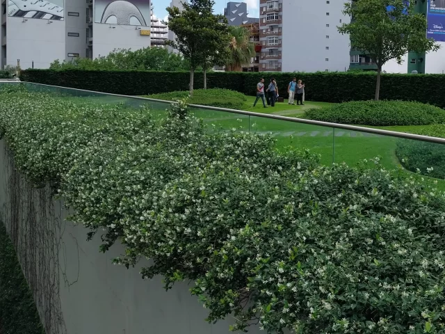 Techos verdes: una alternativa ante las lluvias urbanas en exceso