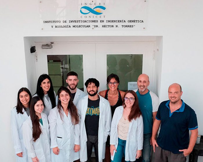 Una molécula previene la formación de proteínas patológicas asociadas a múltiples enfermedades neurodegenerativas