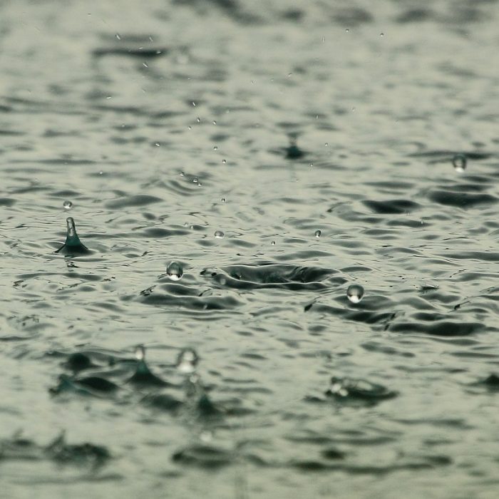 La productividad del agro depende hasta en un 80 % del agua La productividad del agro depende hasta en un 80 % del agua