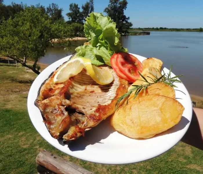Pacú: el pescado típico del Paraná con alto valor nutricional