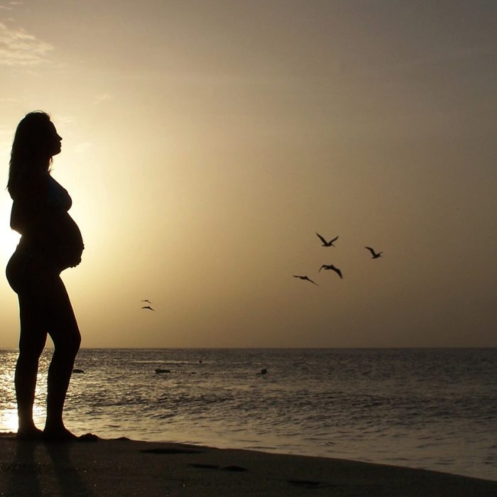 Los ovocitos degradan proteínas tóxicas para preservar la fertilidad a largo plazo