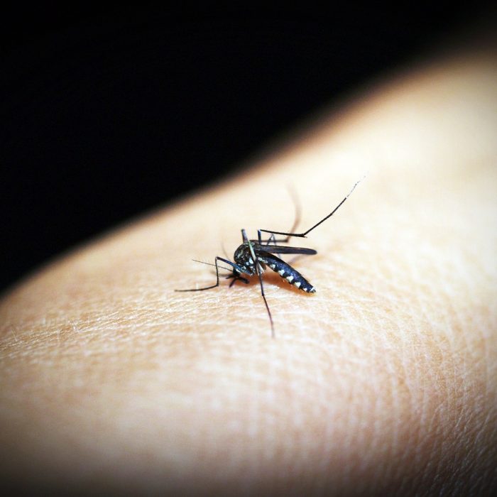 El diagnóstico de Dengue puede ser más difícil en niños