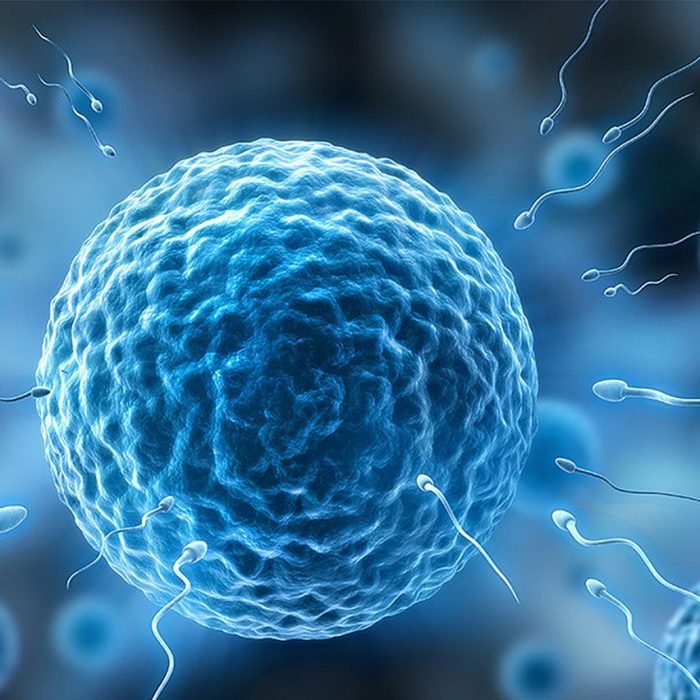 El 80% de los casos de cáncer de ovario se detectan en etapas avanzadas
