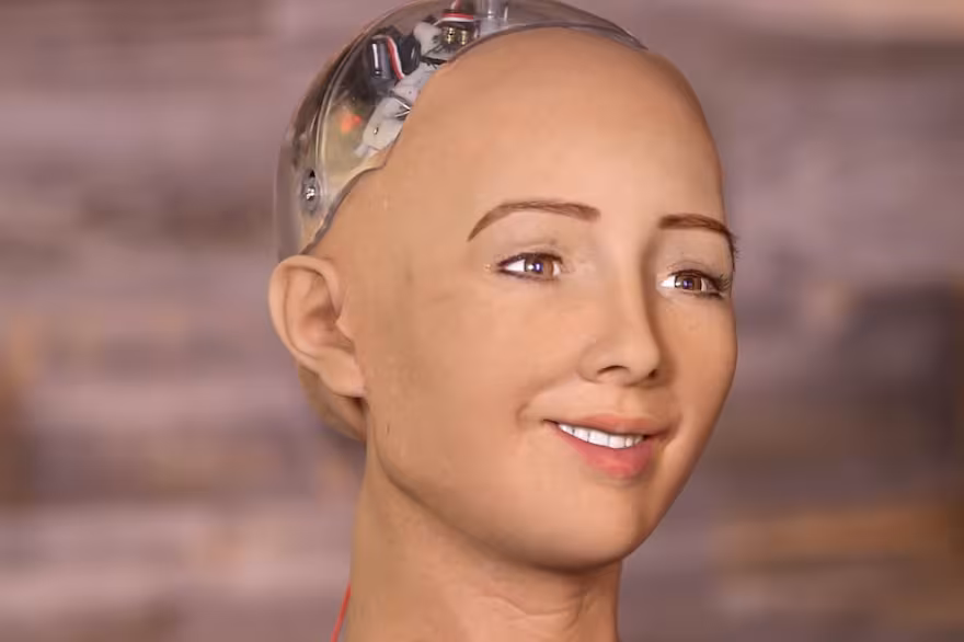 Sophia, la primera IA para el sector de la visión
