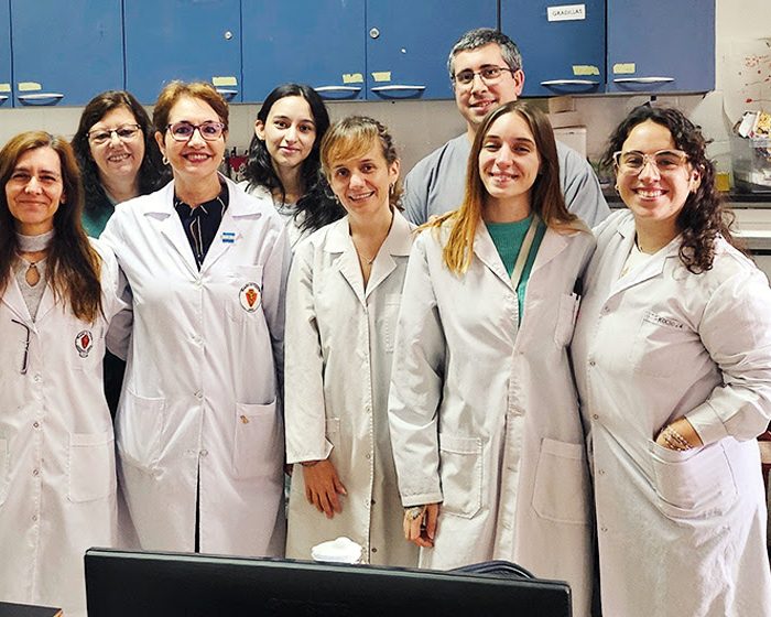 Mecanismos de envejecimiento inmune: qué dicen las amígdalas de personas de distintas edades