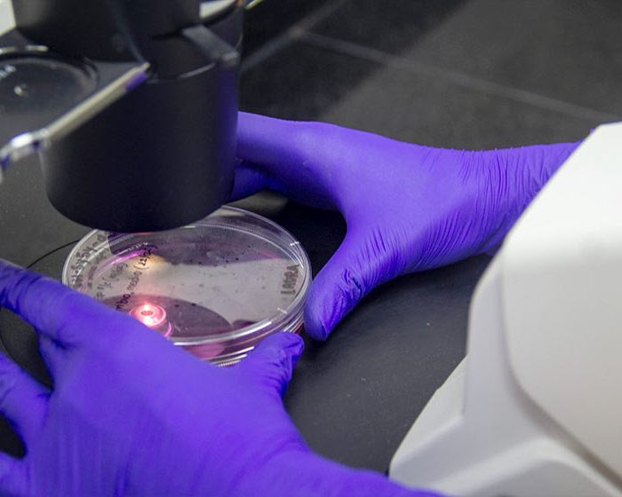 Patentan una nueva molécula para combatir el Parkinson