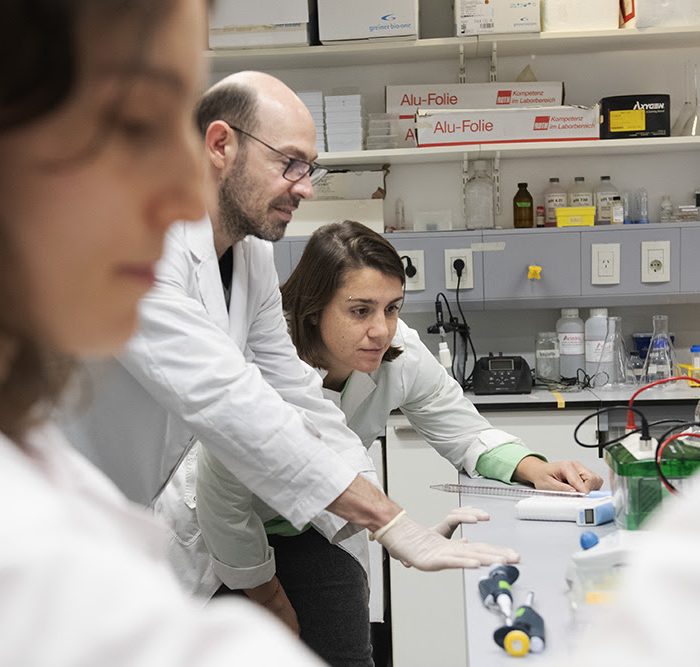 Identifican una molécula que regula la respuesta al estrés