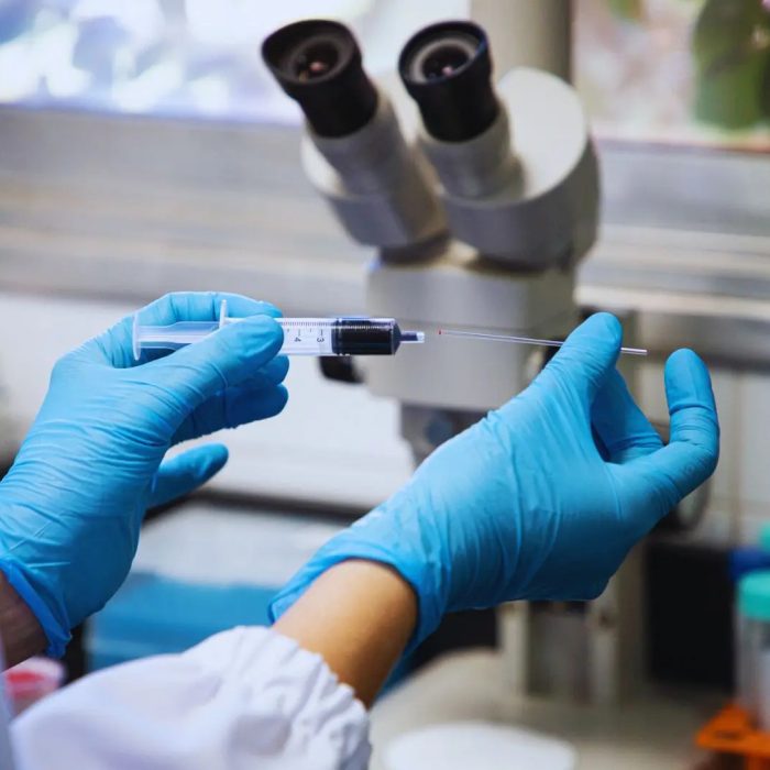 Desarrollan un test para el diagnóstico rápido de la tristeza bovina