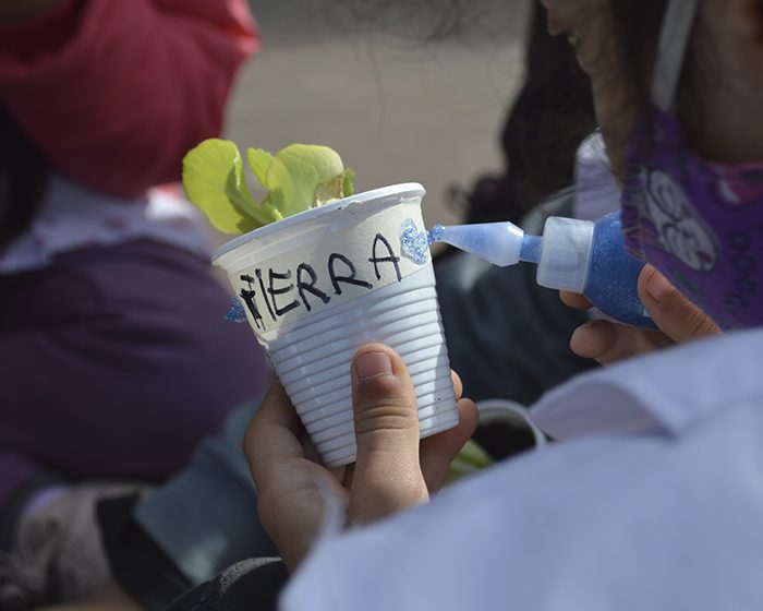 Ciencia en las escuelas: treinta talleres de divulgación para las aulas Ciencia en las escuelas: treinta talleres de divulgación para las aulas