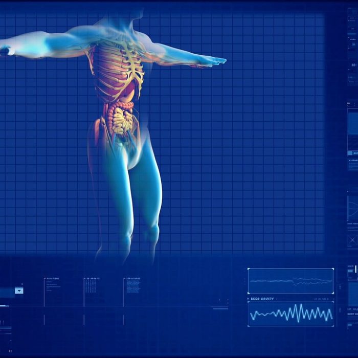 Descubren cómo las células del cáncer de páncreas evitan el sistema inmune Descubren cómo las células del cáncer de páncreas evitan el sistema inmune