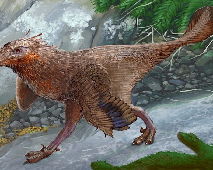 Neuquén: una nueva especie de dinosaurio carnívoro que vivió hace aproximadamente 83 millones de años