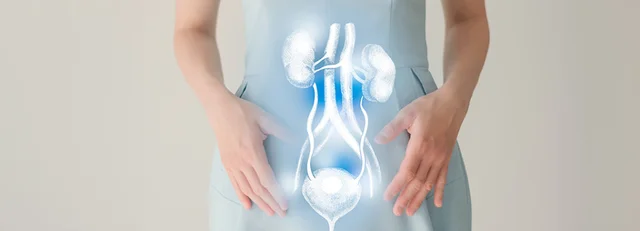 Infecciones urinarias: recomiendan prestar atención a los síntomas y no demorar la consulta médica Infecciones urinarias: recomiendan prestar atención a los síntomas y no demorar la consulta médica