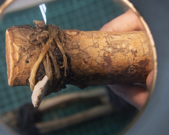 Fabricación de mangos de madera y un amplio conocimiento del entorno: revelan aspectos desconocidos de la vida de grupos cazadores recolectores de hace 5 mil años Fabricación de mangos de madera y un amplio conocimiento del entorno: revelan aspectos desconocidos de la vida de grupos cazadores recolectores de hace 5 mil años