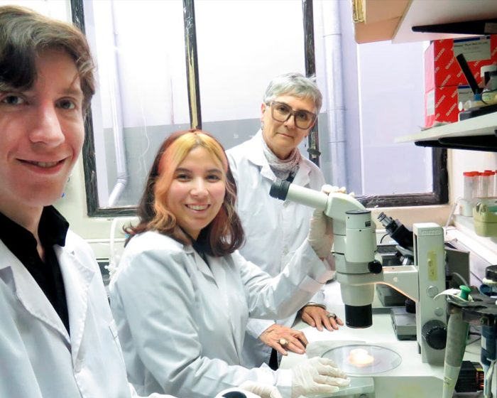 Comprueban que las olas de calor reducen la fertilidad masculina